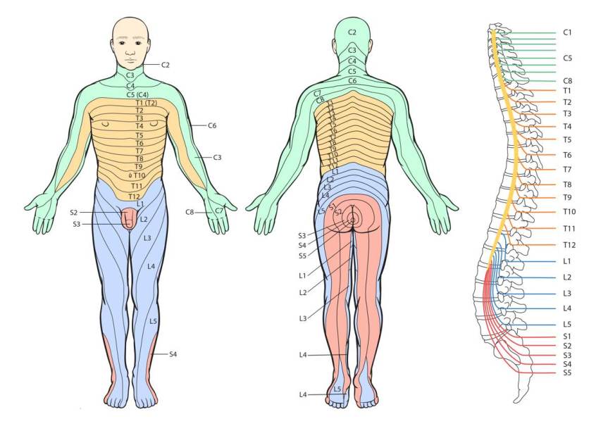 Neuropathy