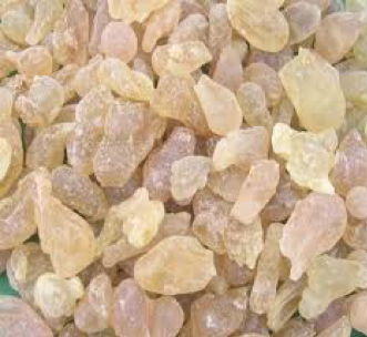 Essential Oil Profile of the Month- Frankincense (Boswellia carterii)