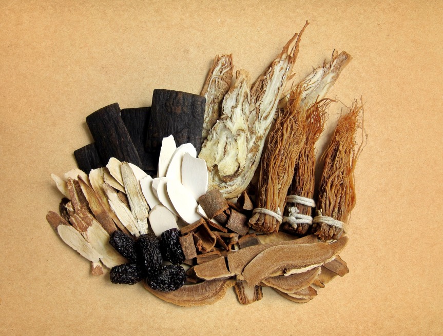 What Chinese Herbal Medicine Theory Teaches Us about Everyday Life